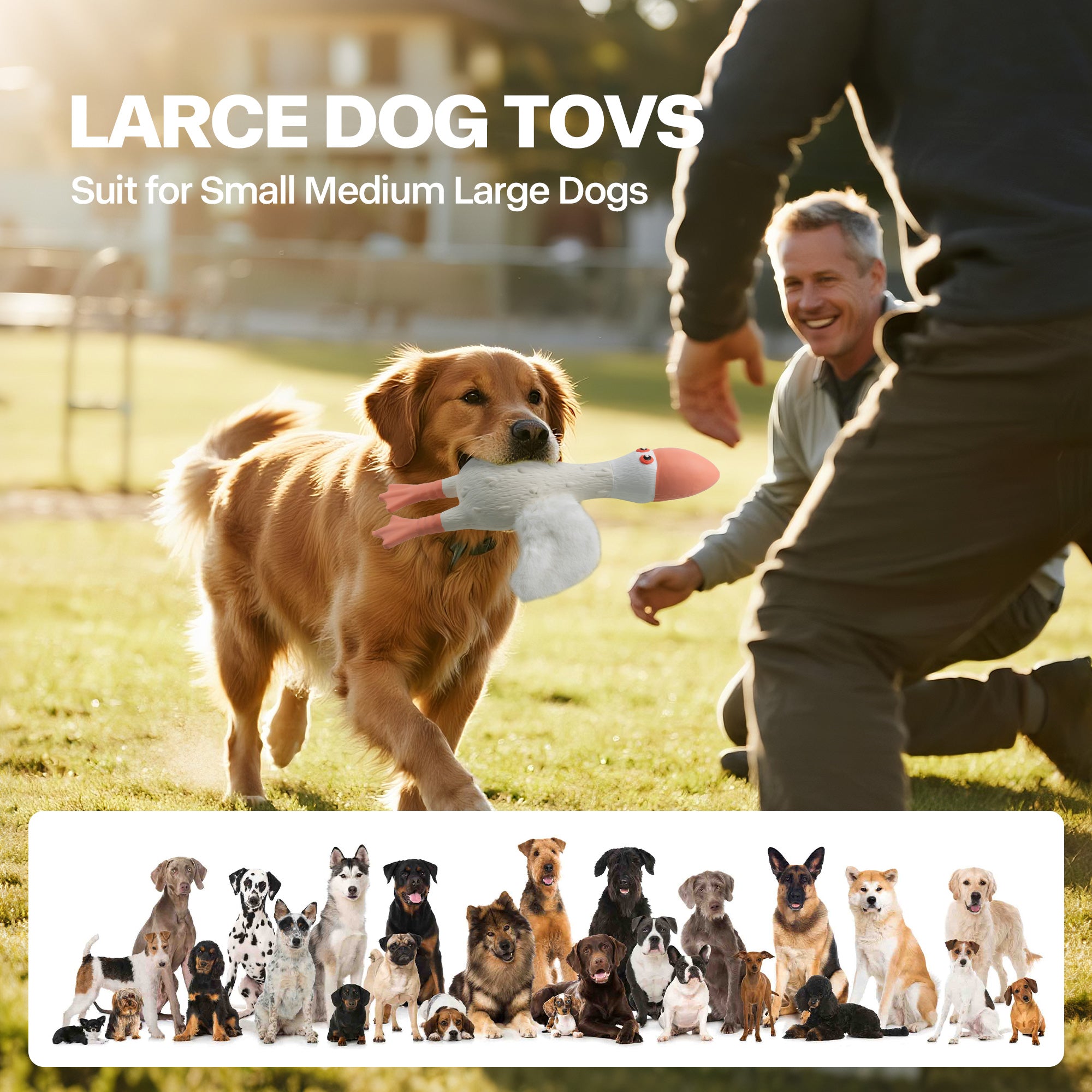 AFP(All For Paws) Pet Products