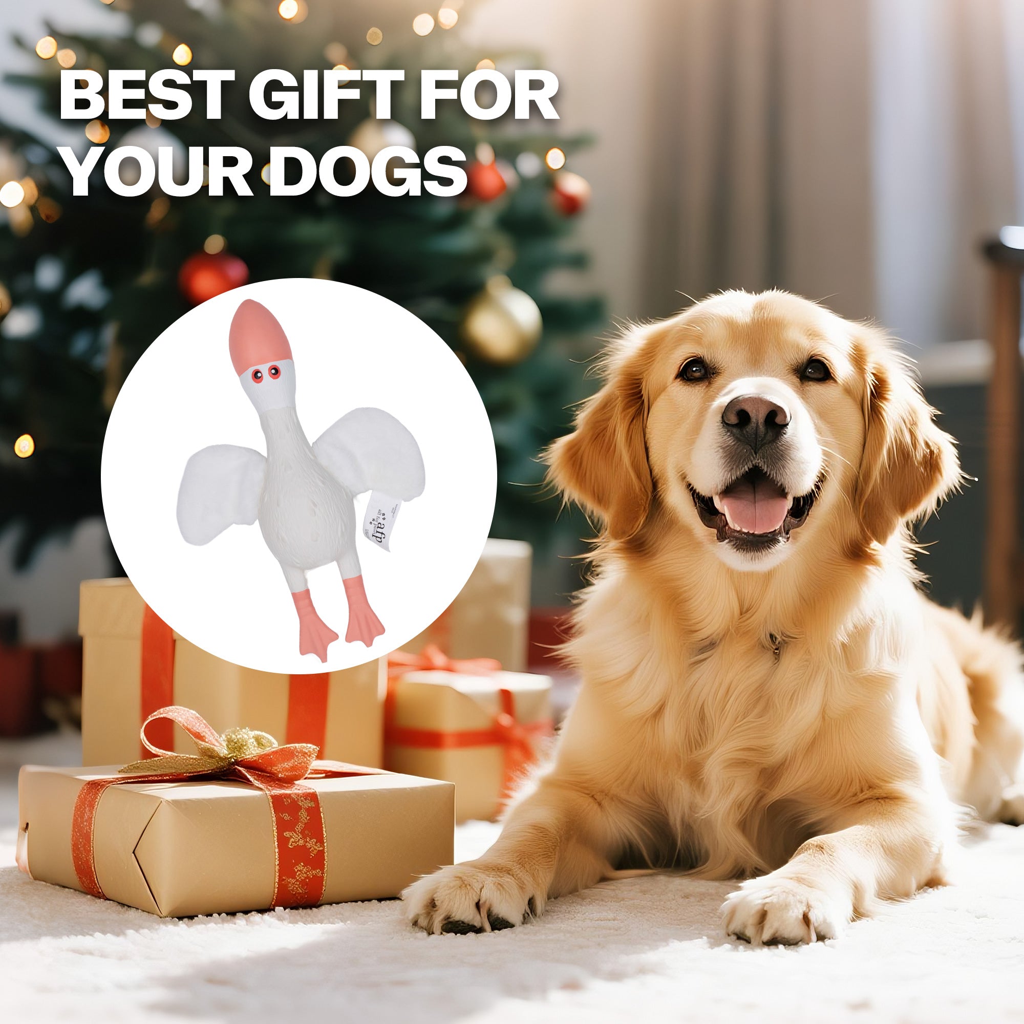 AFP(All For Paws) Pet Products