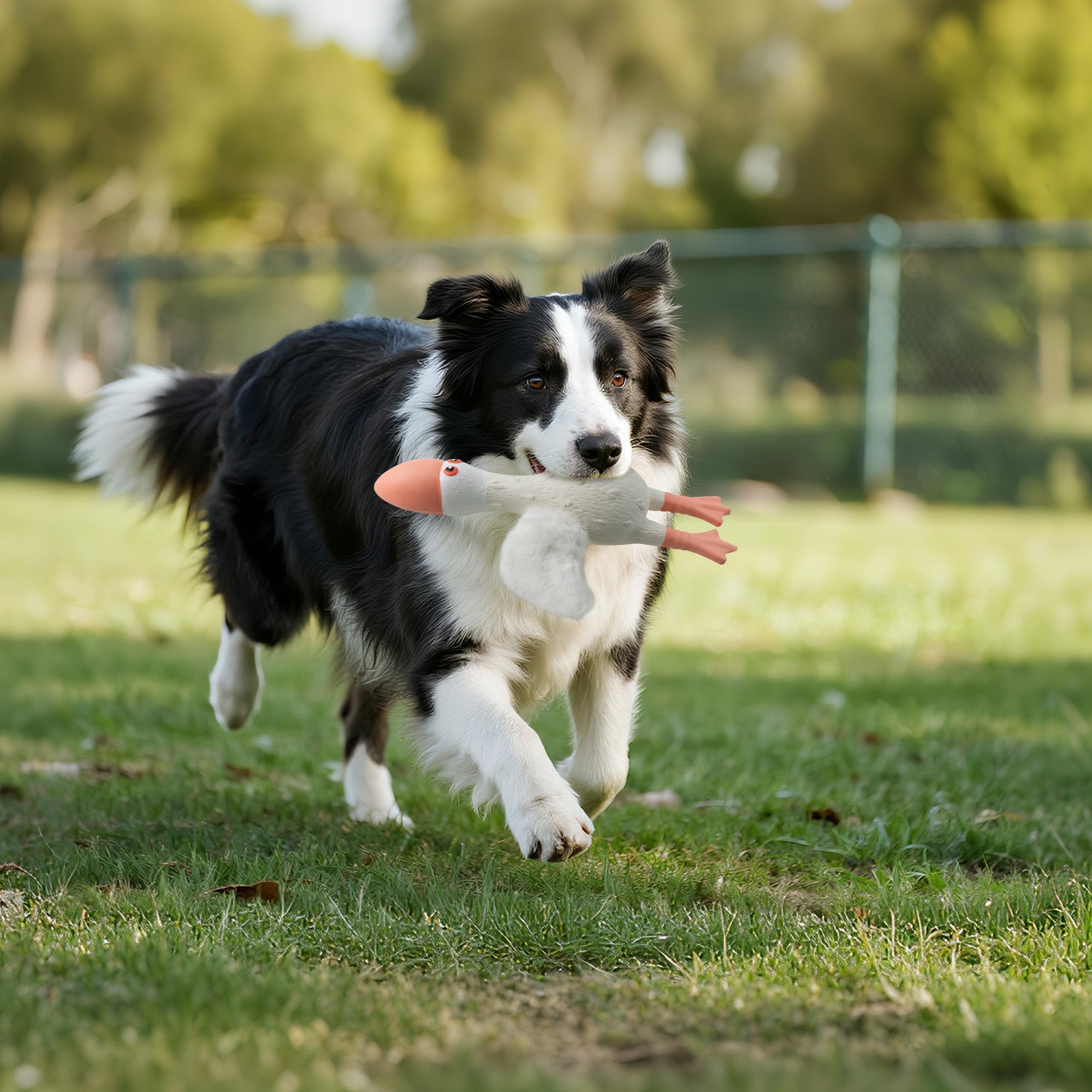 AFP(All For Paws) Pet Products