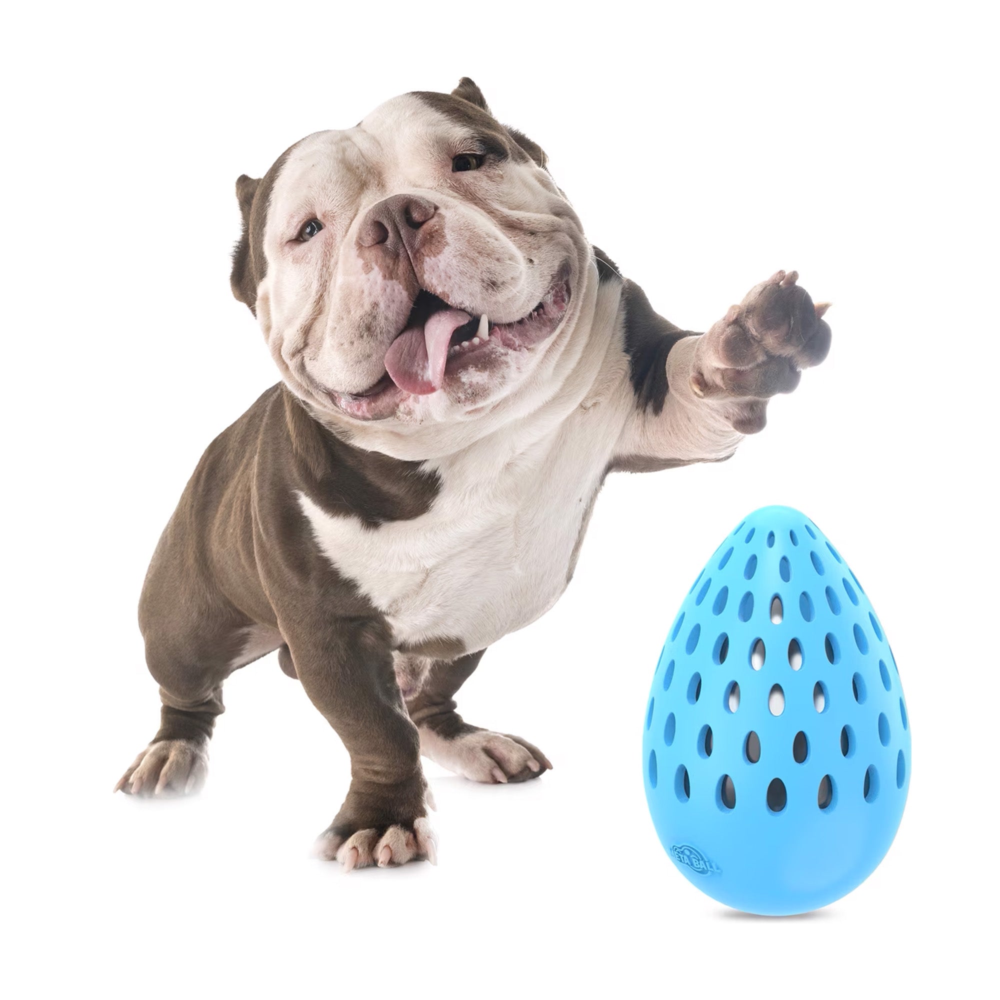 Meta Ball - Holey Egg Indestructible
