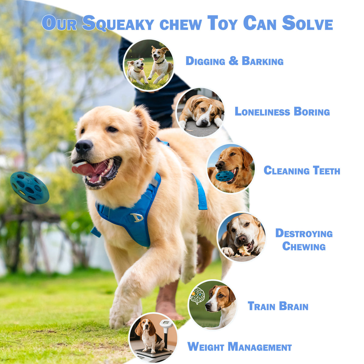 META BALL - Dog Toys - Wiggle Holey Rubber Roller