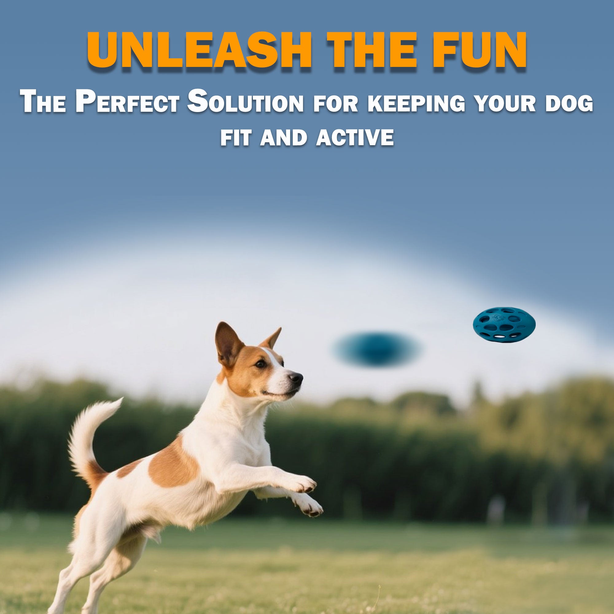AFP(All For Paws) Pet Products