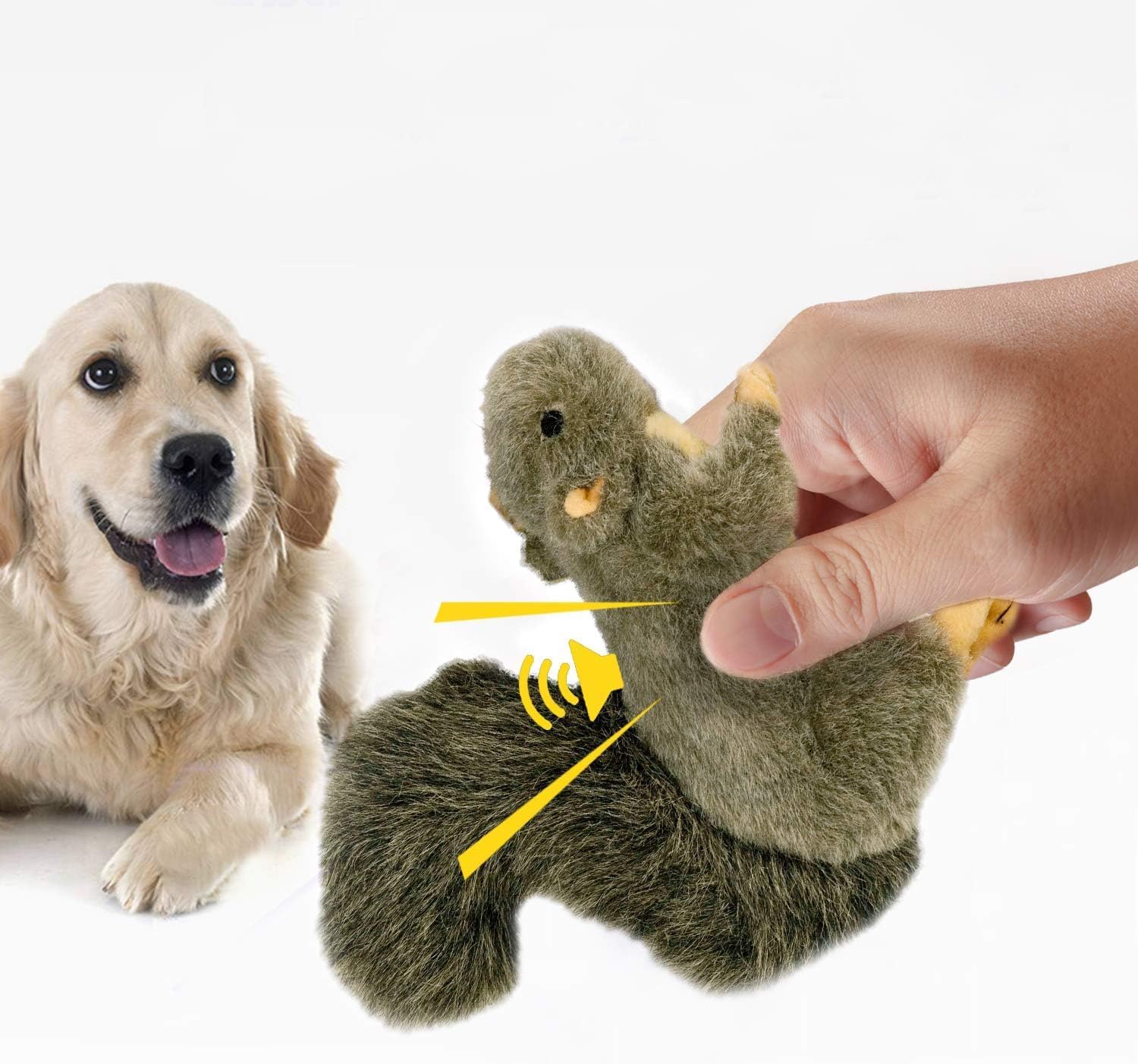 Classic Dog Toys - Squeaky Dog Squirrel Toys for Dogs