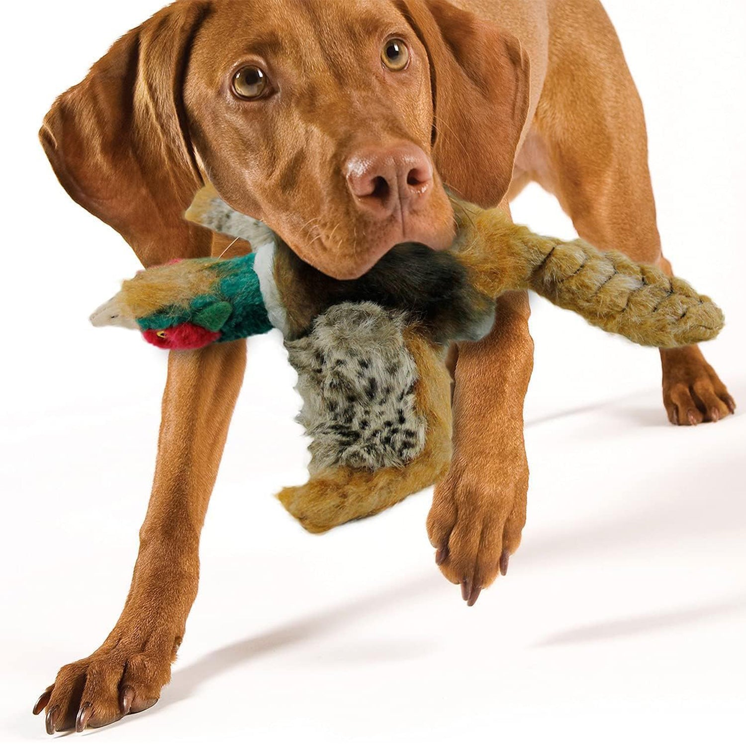Classic - Dog Toys - Squeaky Dog Pheasant Toys for Dogs