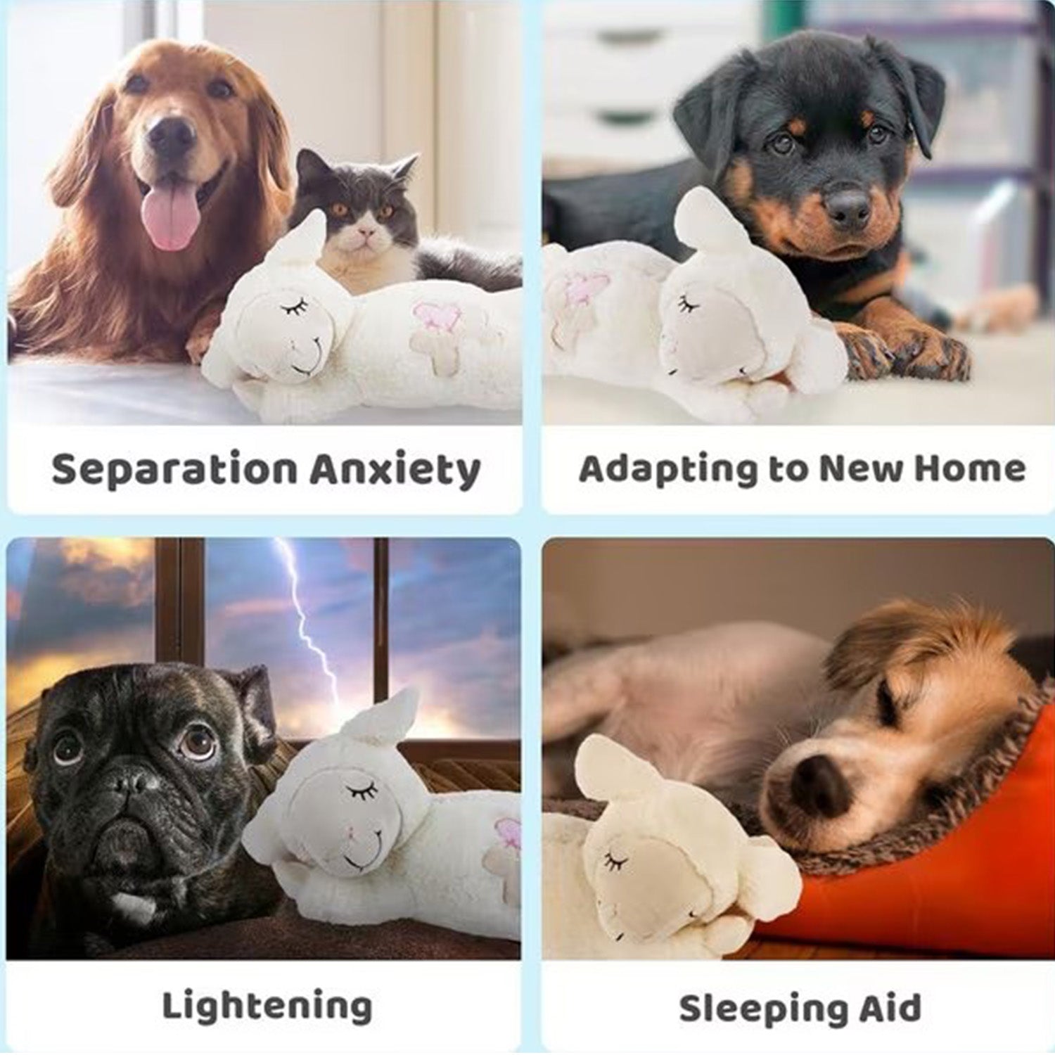 AFP(All For Paws) Pet Products