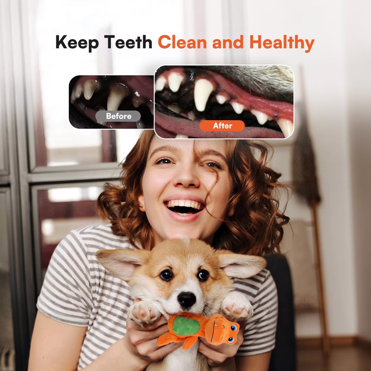 AFP(All For Paws) Pet Products