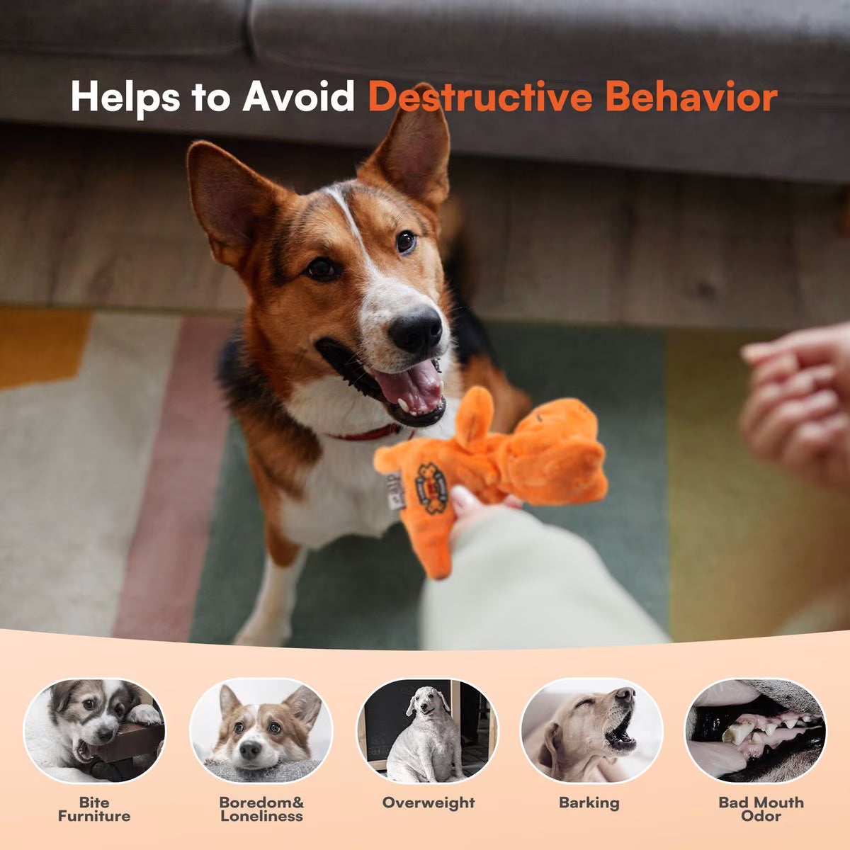 AFP(All For Paws) Pet Products