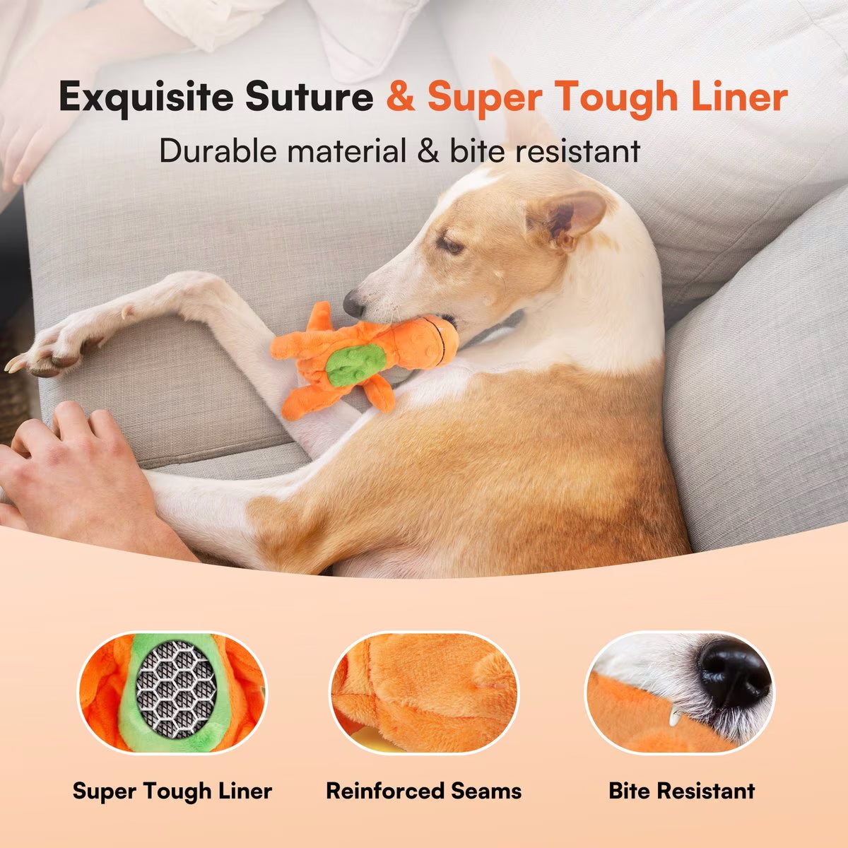AFP(All For Paws) Pet Products