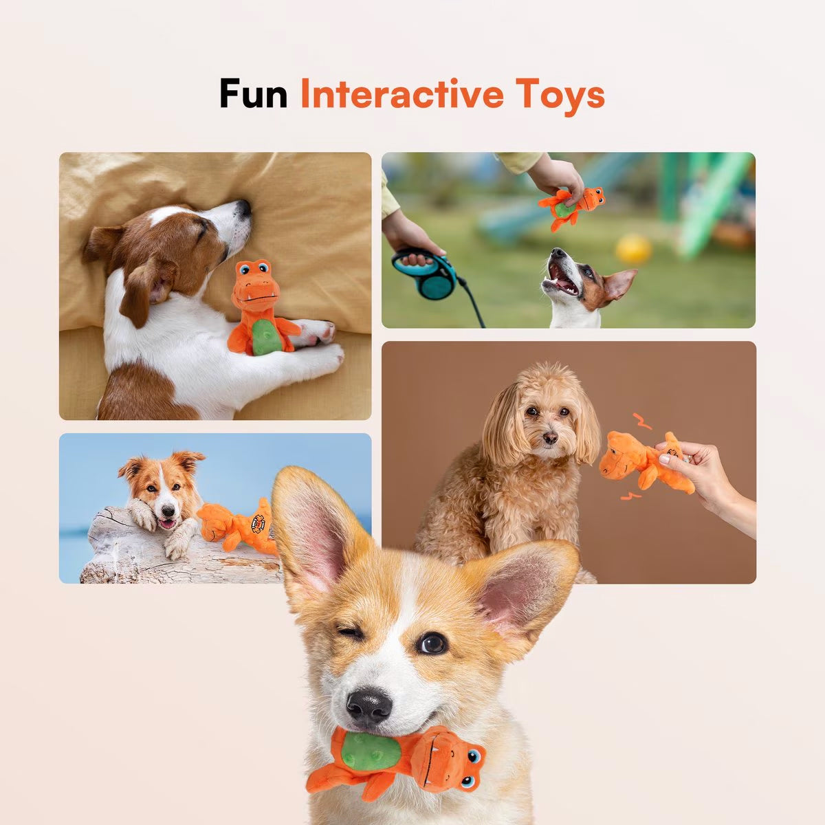 AFP(All For Paws) Pet Products