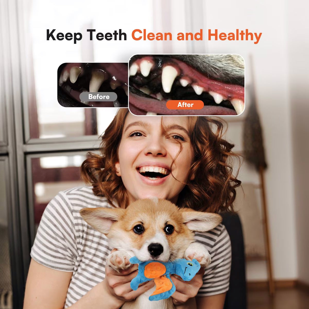 AFP(All For Paws) Pet Products