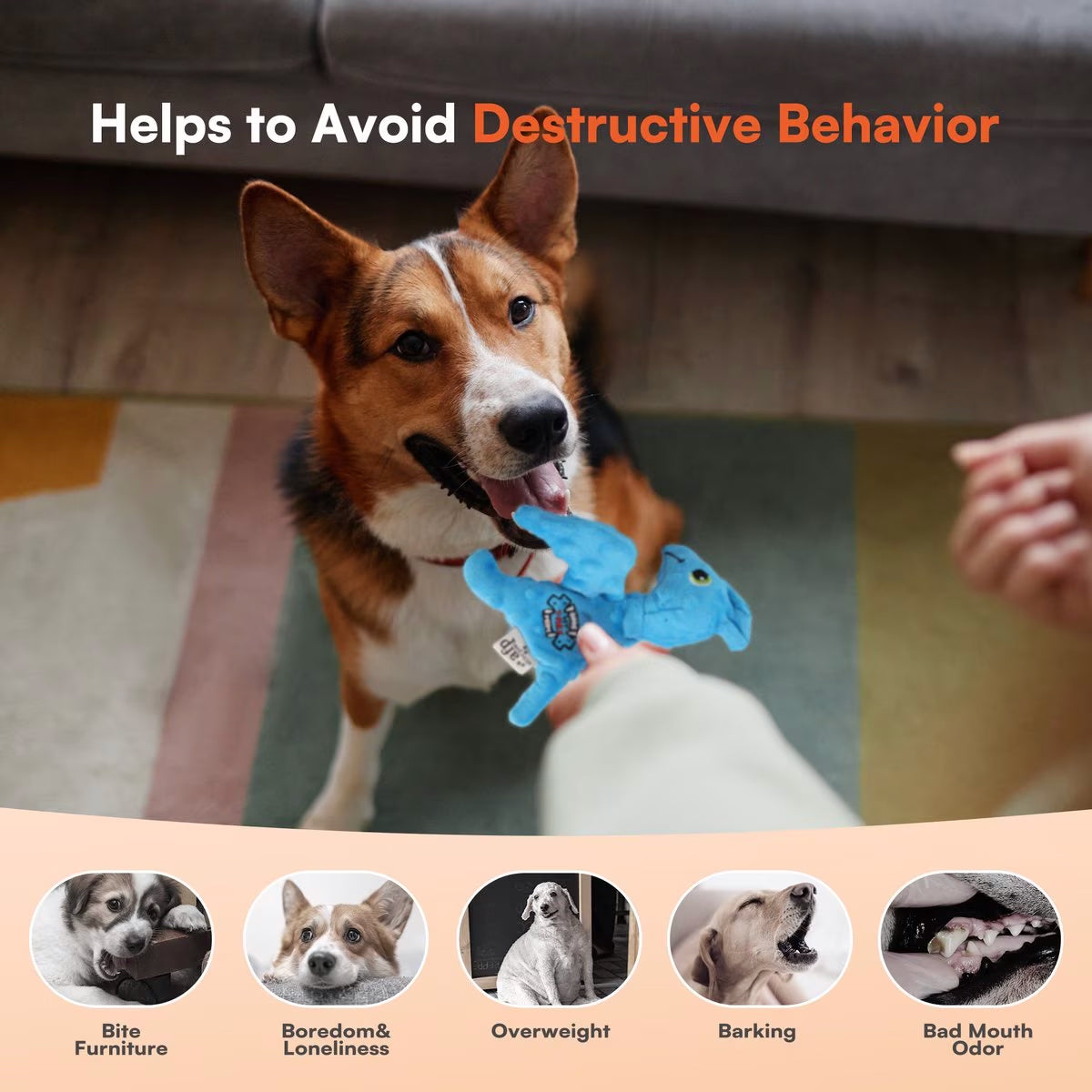 AFP(All For Paws) Pet Products
