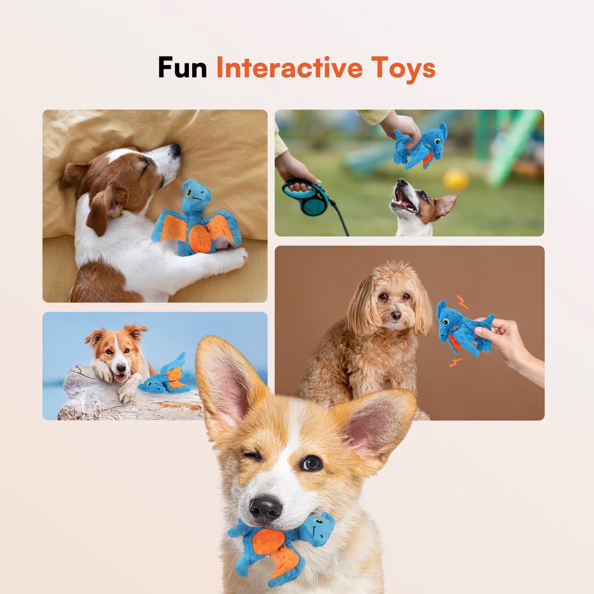 AFP(All For Paws) Pet Products