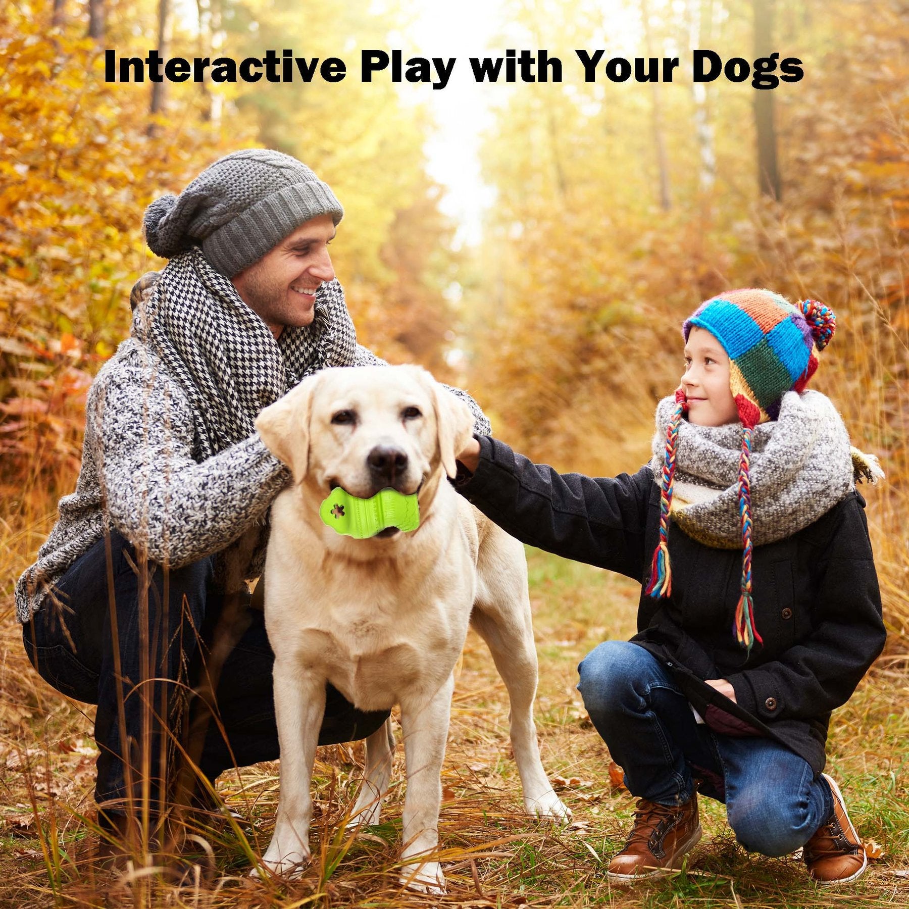 AFP(All For Paws) Pet Products