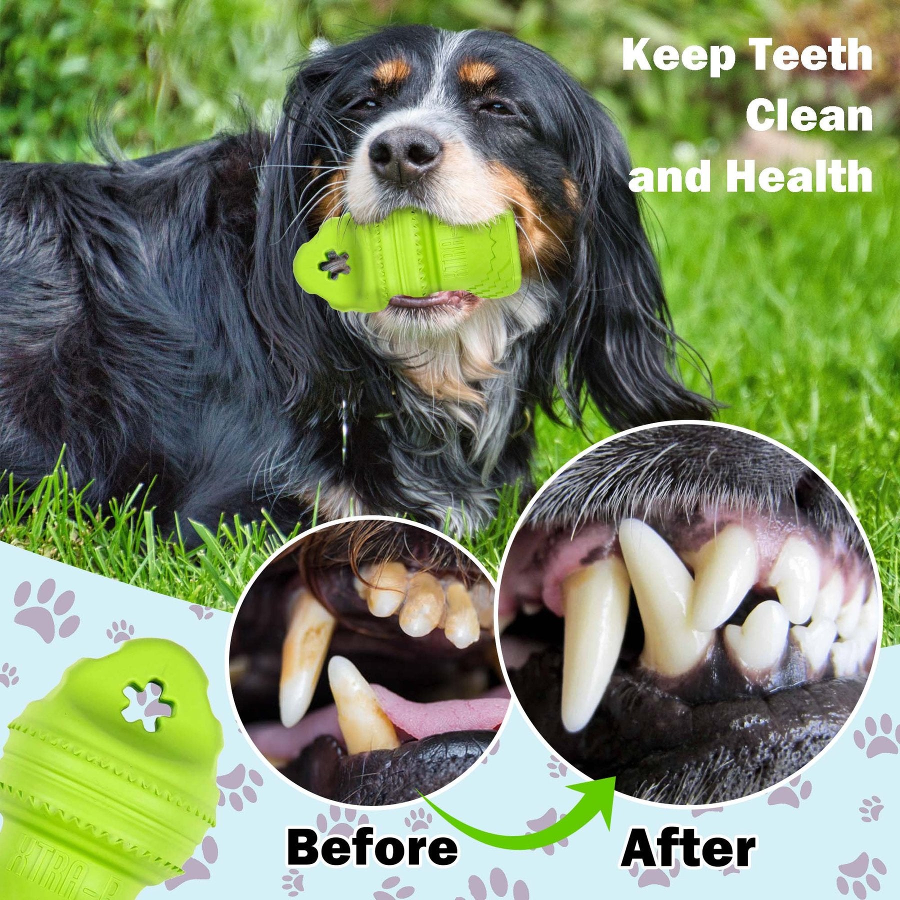 AFP(All For Paws) Pet Products