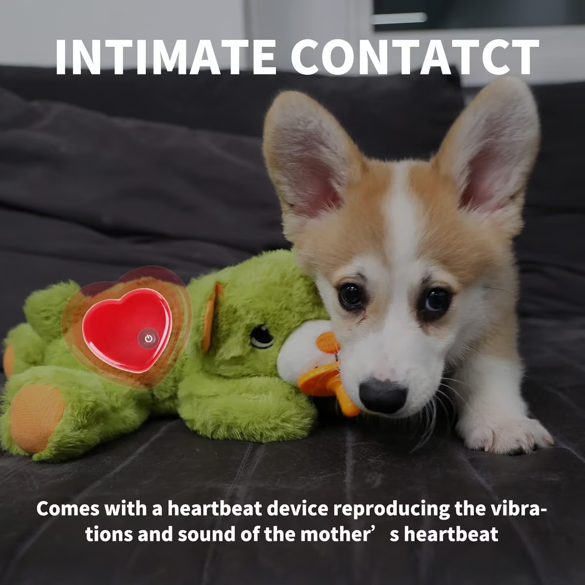 AFP(All For Paws) Pet Products