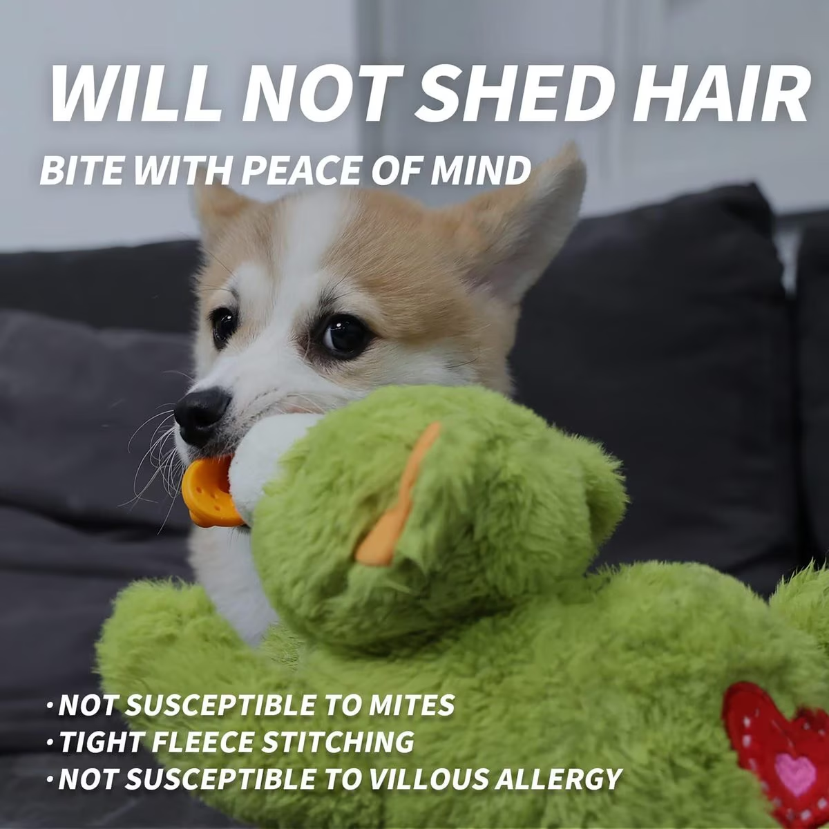 AFP(All For Paws) Pet Products