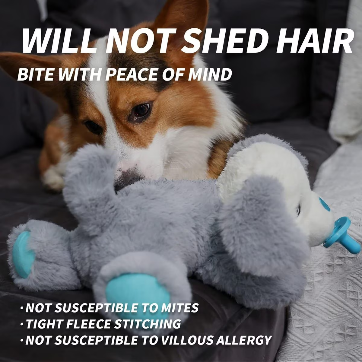 AFP(All For Paws) Pet Products