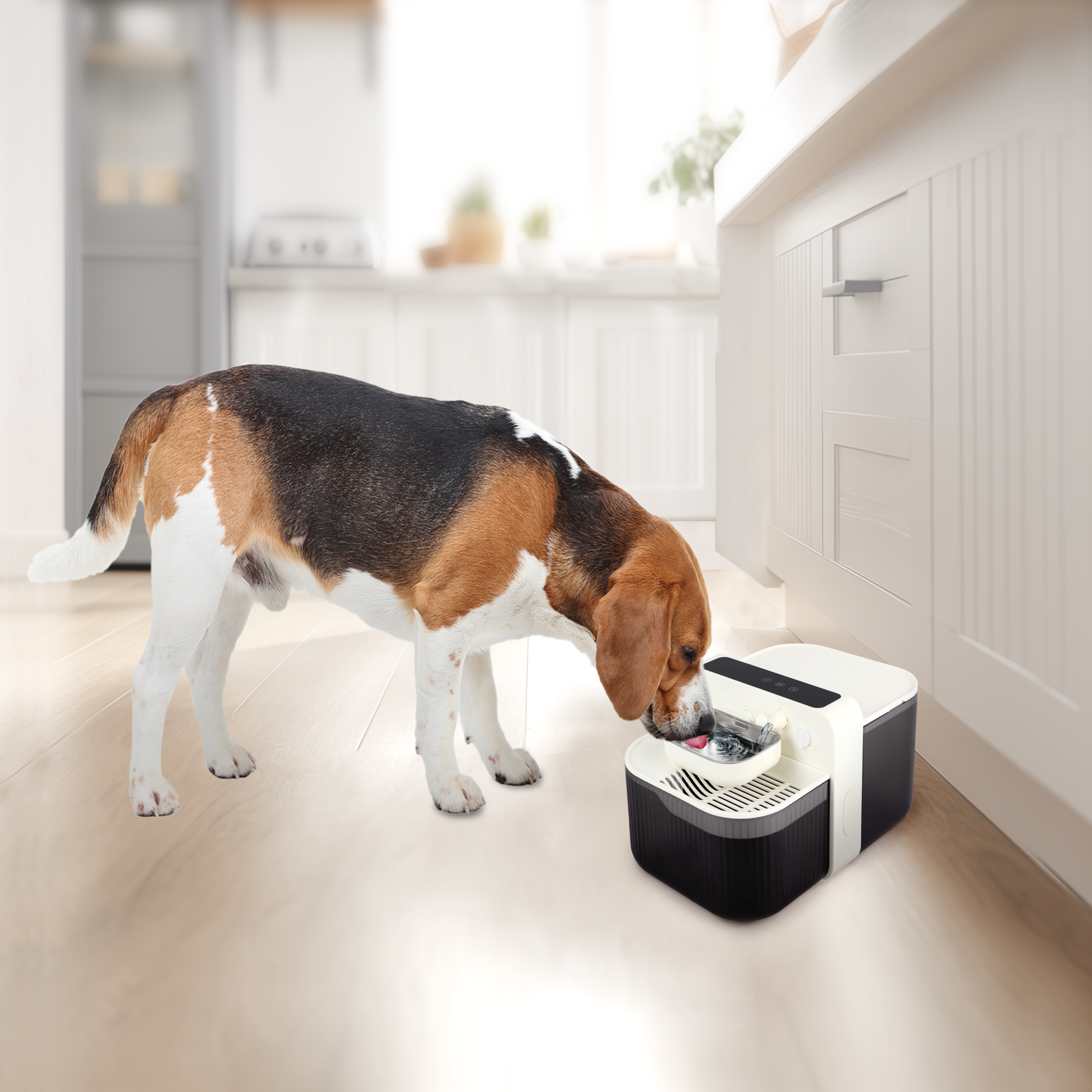 Lifestyle 4 pets-FreshSip Water Dispenser