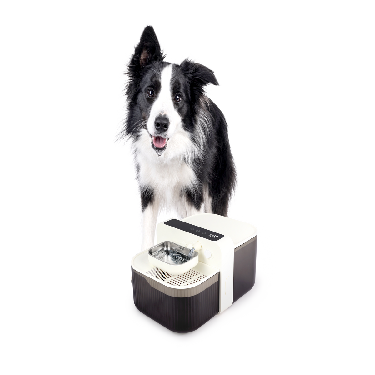 Lifestyle 4 pets-FreshSip Water Dispenser
