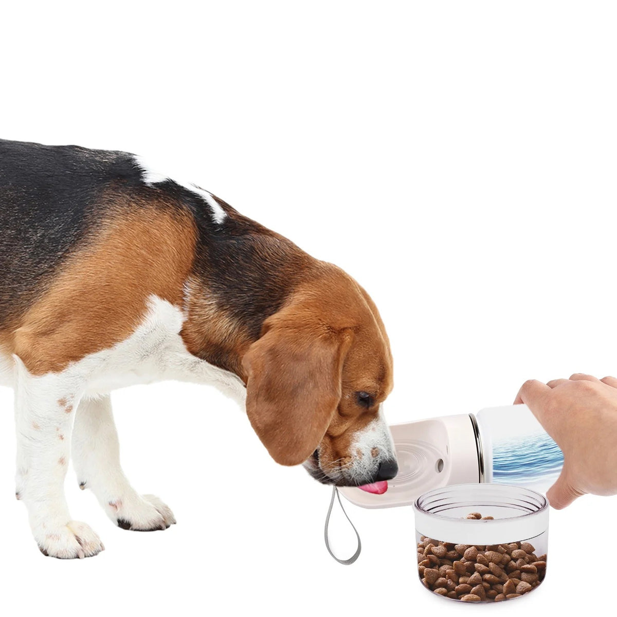 Lifestyle 4 Pets - 2-In-1 Stainless Pet Drinking Bottle -14oz