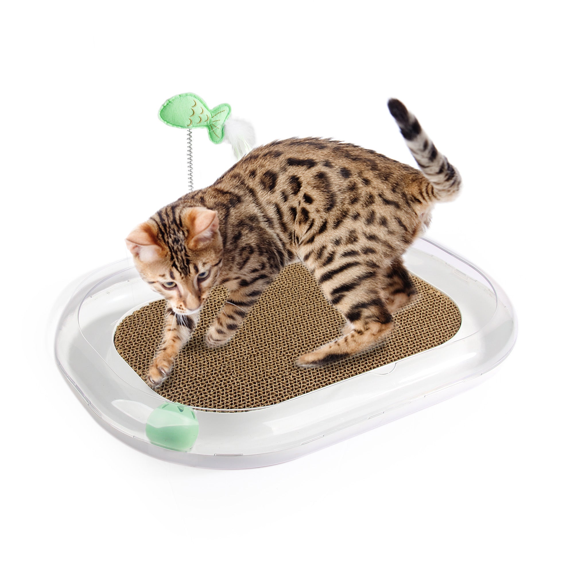 Cat Toy Surprise Box – 9 Interactive Cat Toys in One Fun Set | all for paws