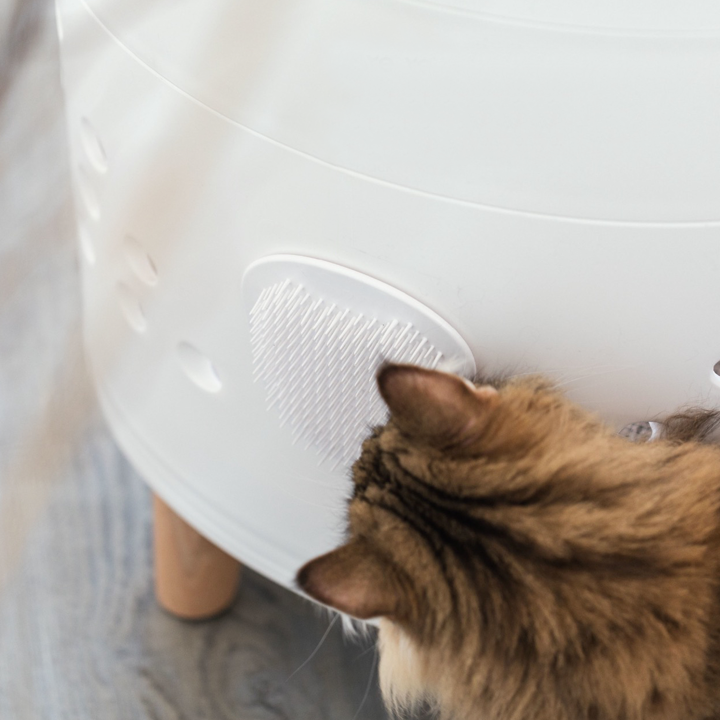 AFP 2 Storey All In One Cat Castle White | 2-Tier Enclosed Cat House with Built-in Side Scratching Surfaces for Indoor Cats