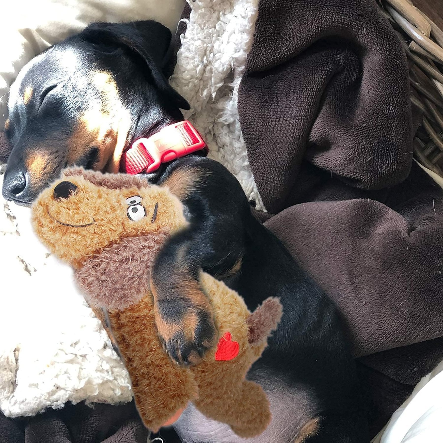 AFP(All For Paws) Pet Products