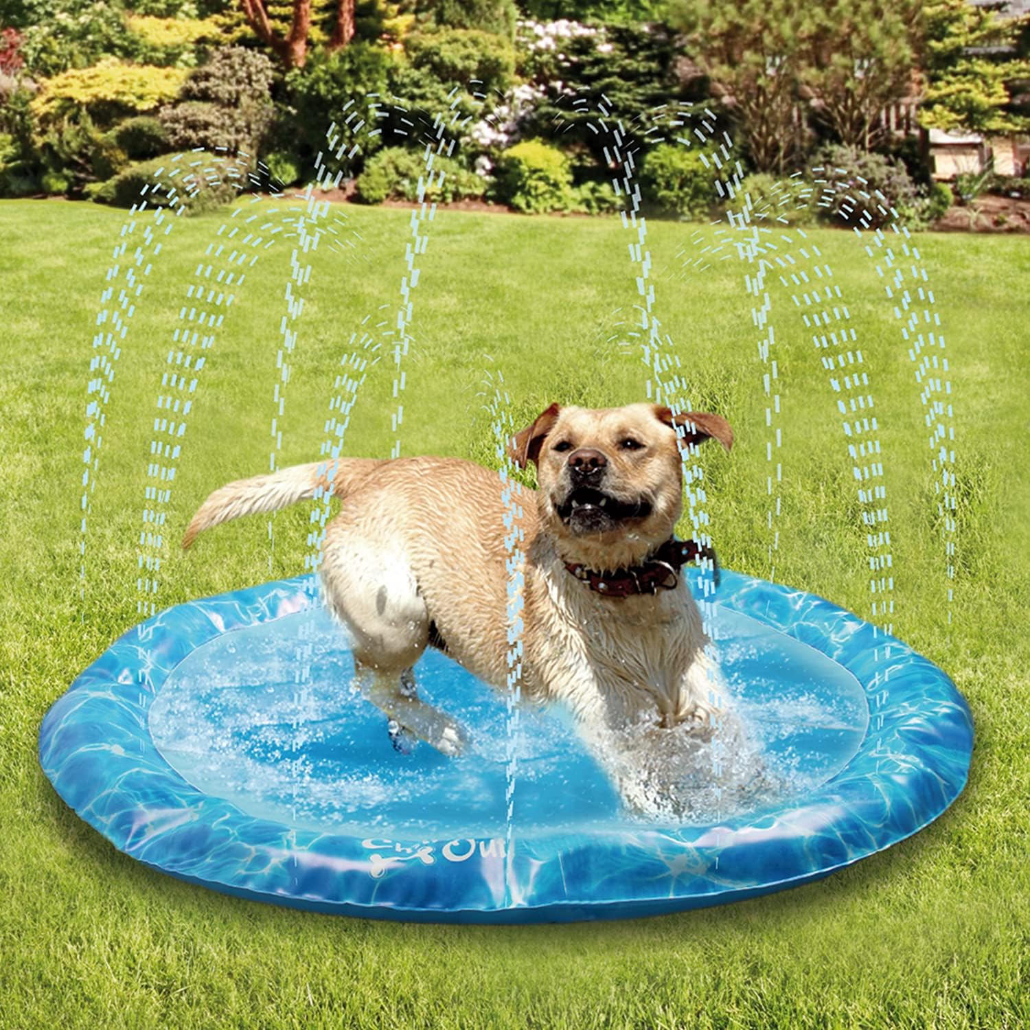 AFP(All For Paws) Pet Products