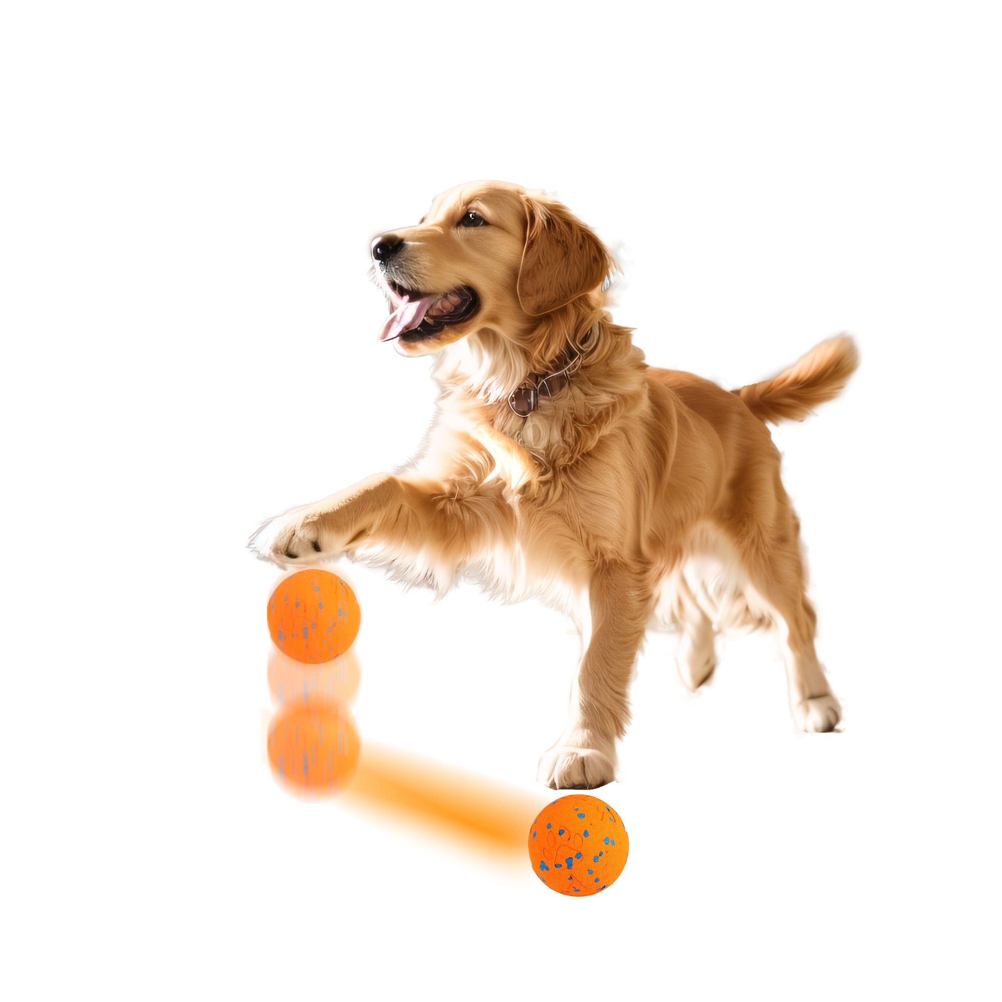 AFP Waggy Bouncing Ball | Motion Activated Interactive Dog Toy, USB Rechargeable 2 Modes Unpredictable Rotating Bouncing Ball