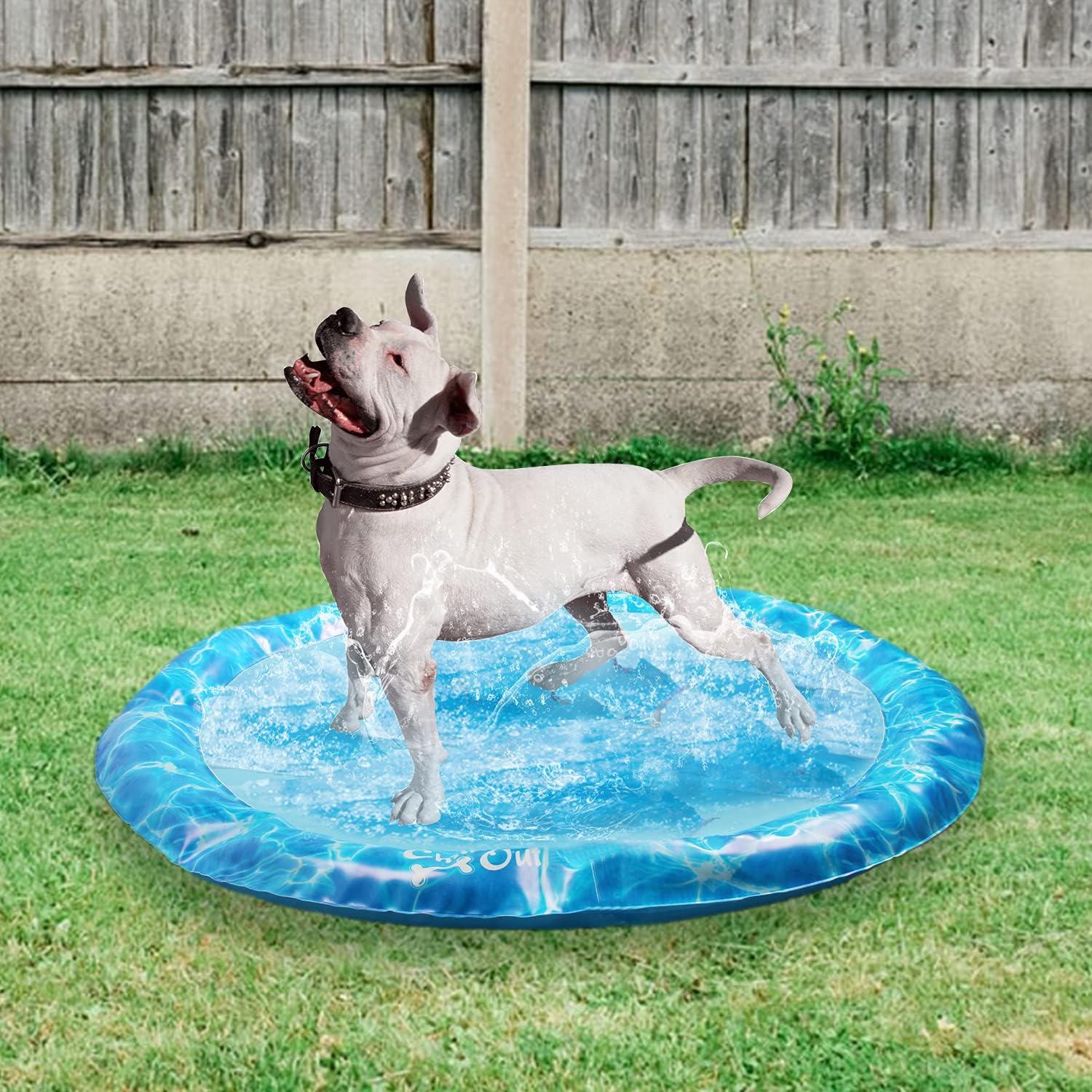 AFP(All For Paws) Pet Products