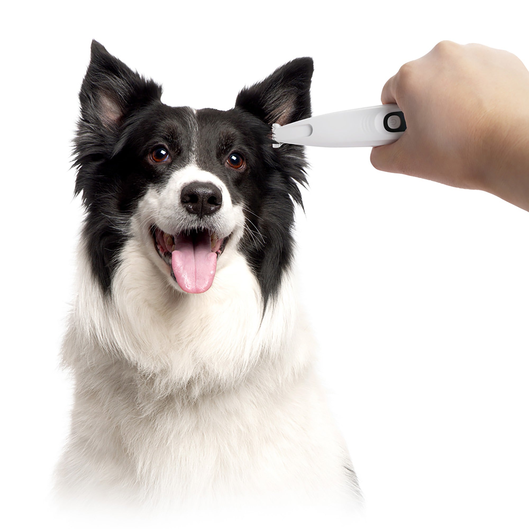 AFP(All For Paws) Pet Products