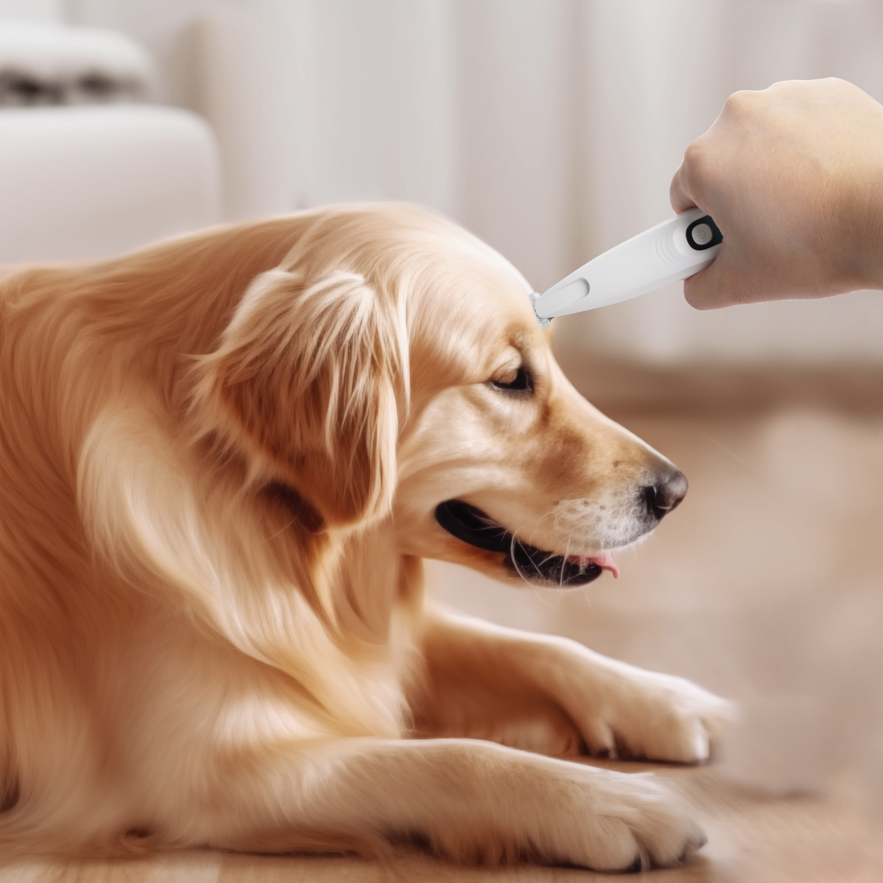 AFP(All For Paws) Pet Products