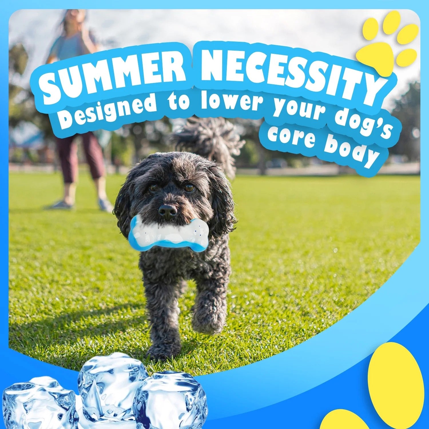 AFP(All For Paws) Pet Products