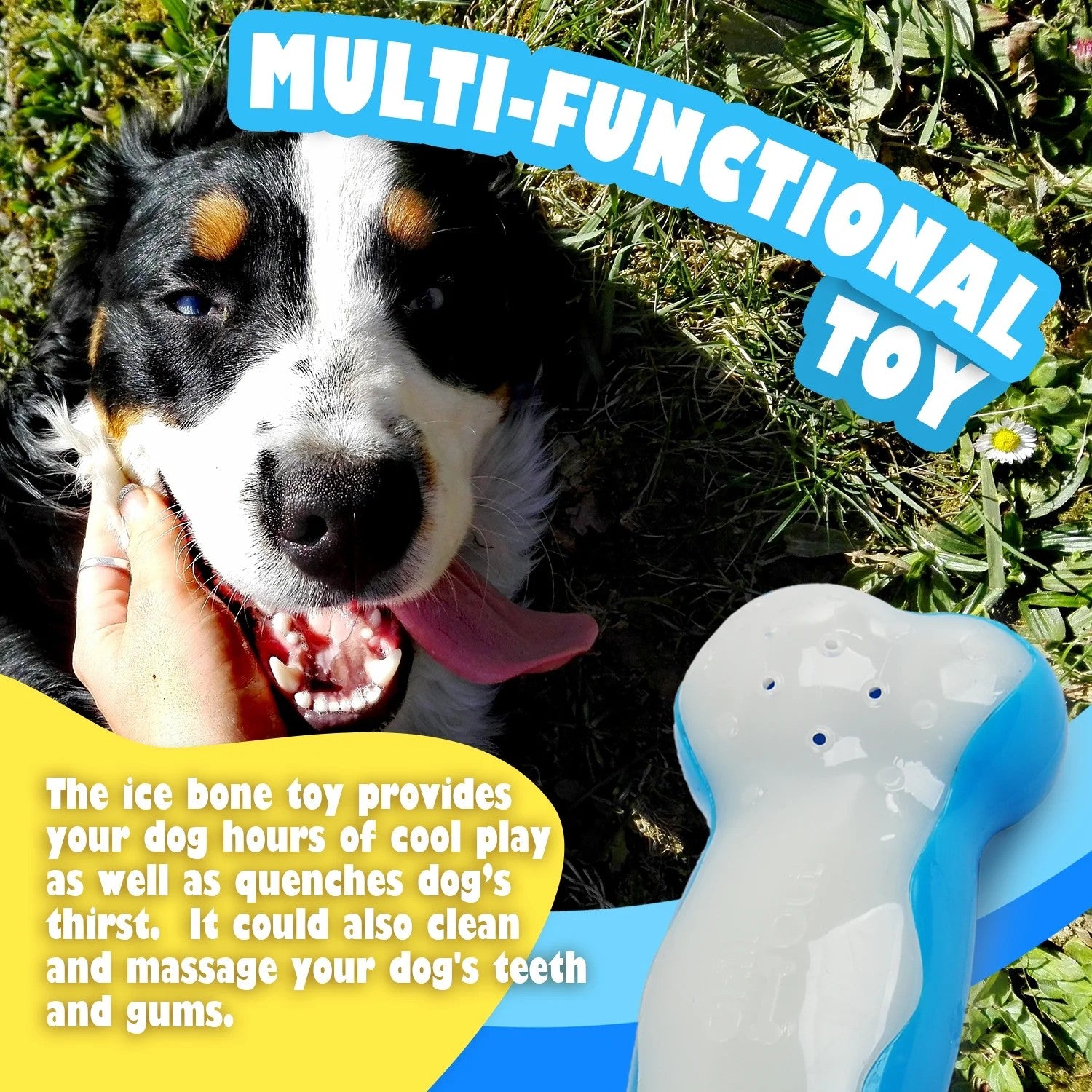 AFP(All For Paws) Pet Products