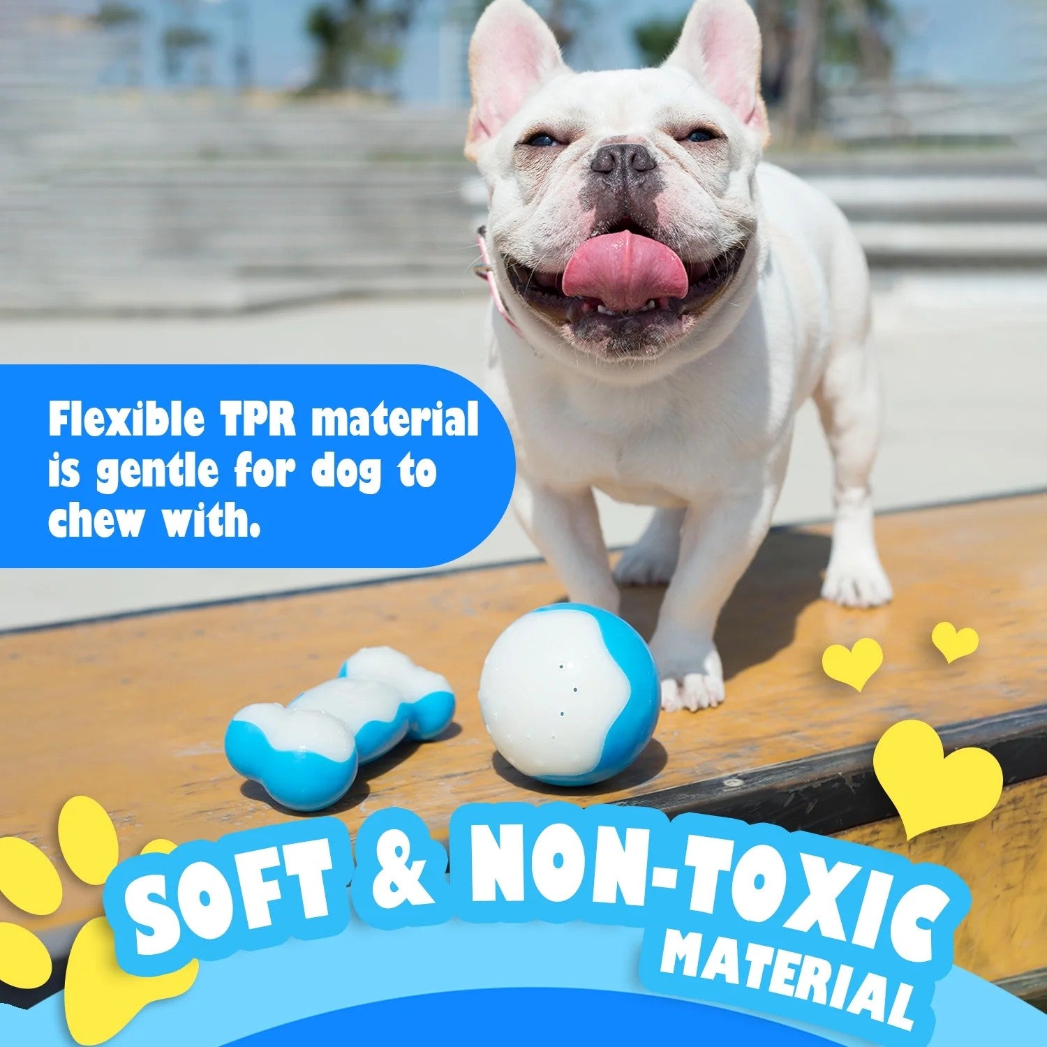 AFP(All For Paws) Pet Products