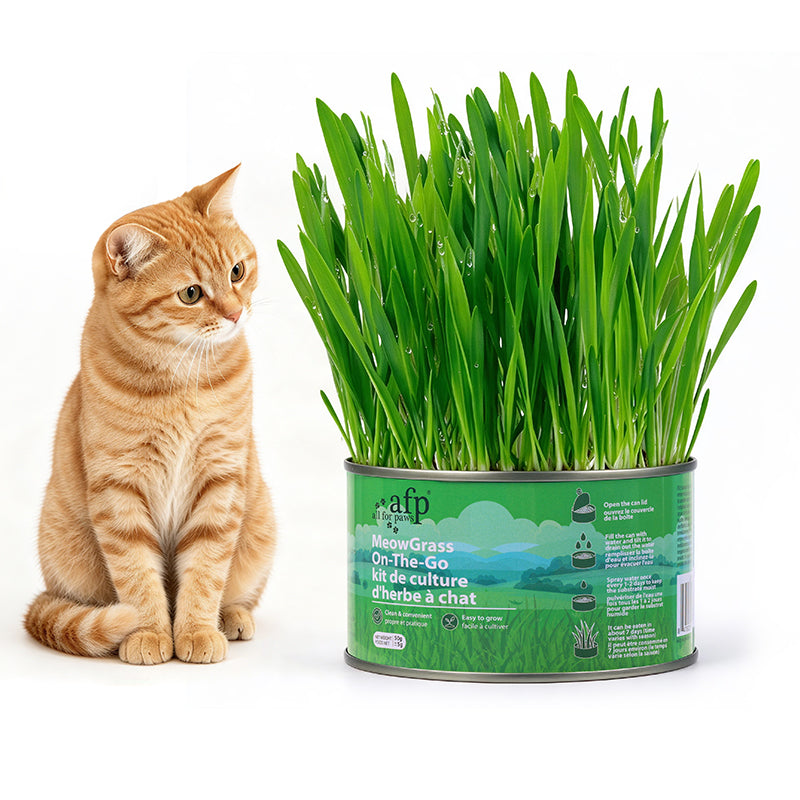Green Rush Meow Grass On-The-Go Cat Grass Kit, 50g/Can