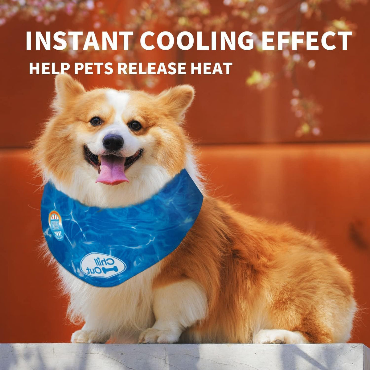 Chill-Out Bandana