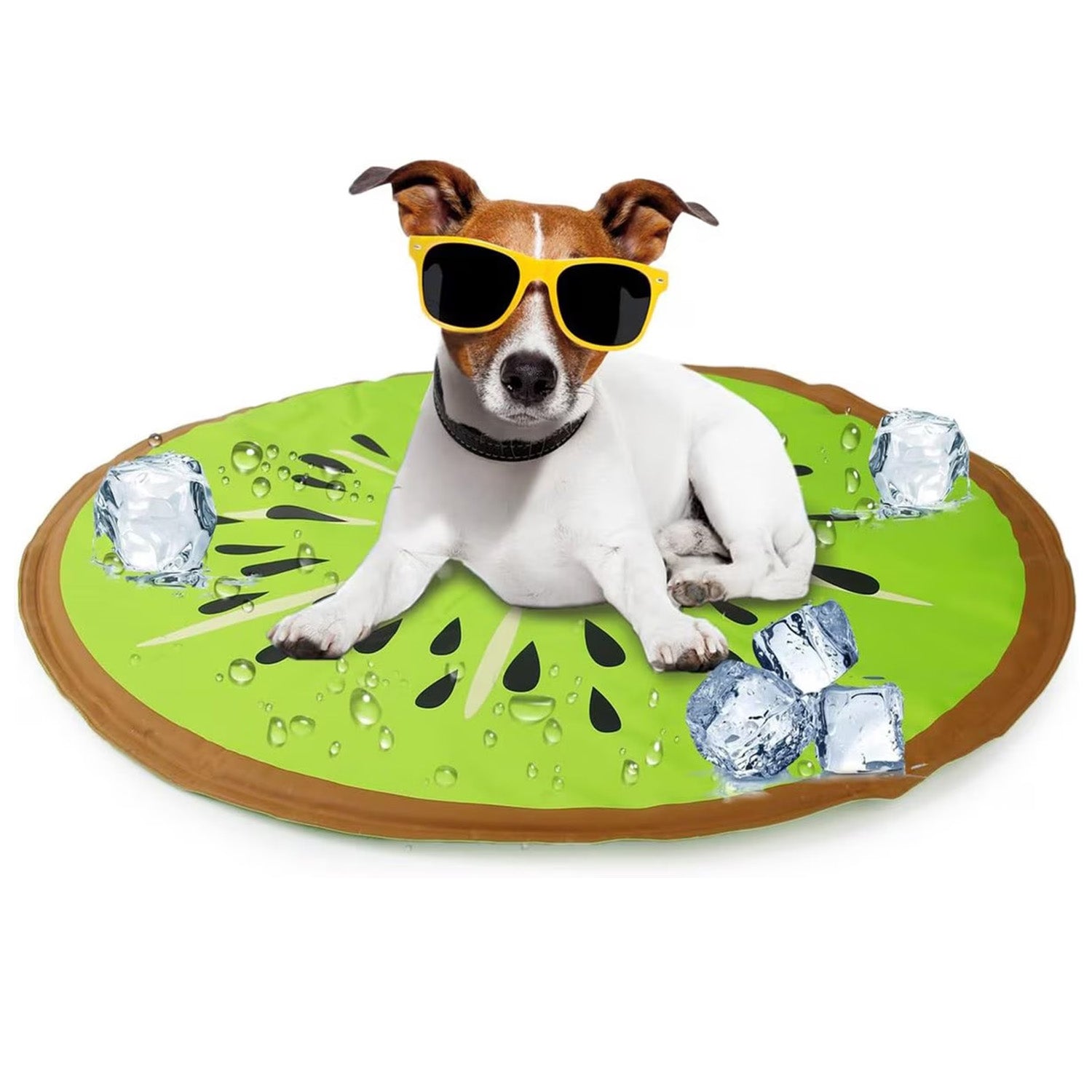 AFP(All For Paws) Pet Products