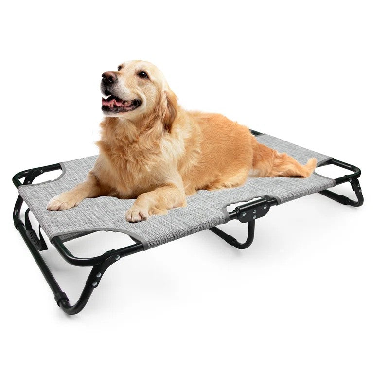 Elevated Dog Bed - Foldable Pet Beds with No Assembly for Indoor & Outdoor Use