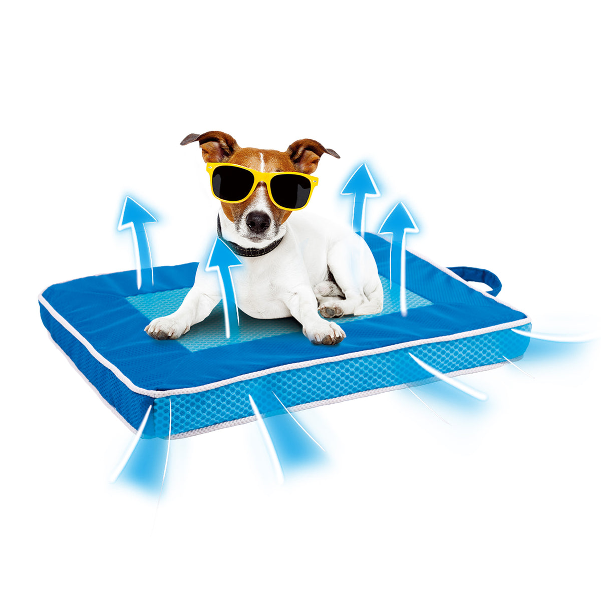 Chill Out - Fresh Breeze Dog Mat-M