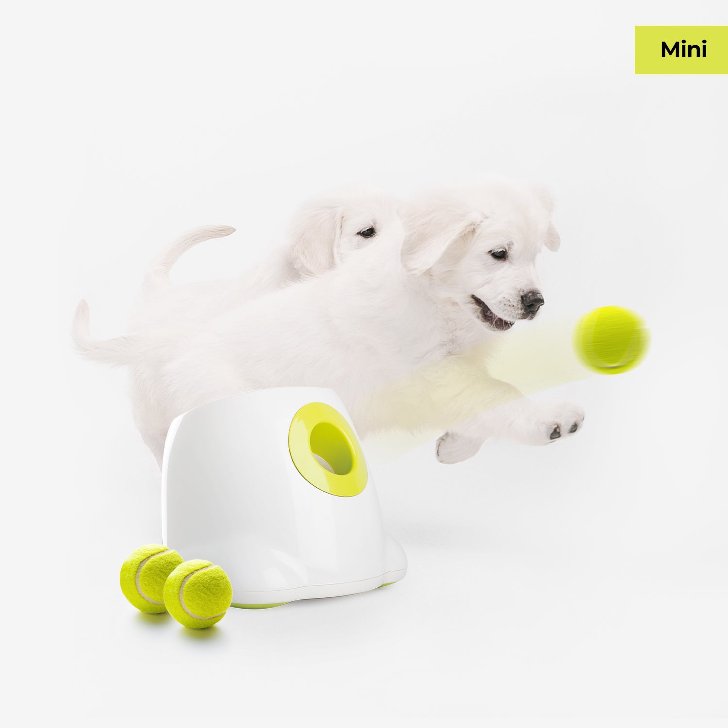Fetch Small Mini Hyper Fetch Automatic Ball Launcher For Small Dogs – AFP(All For ...