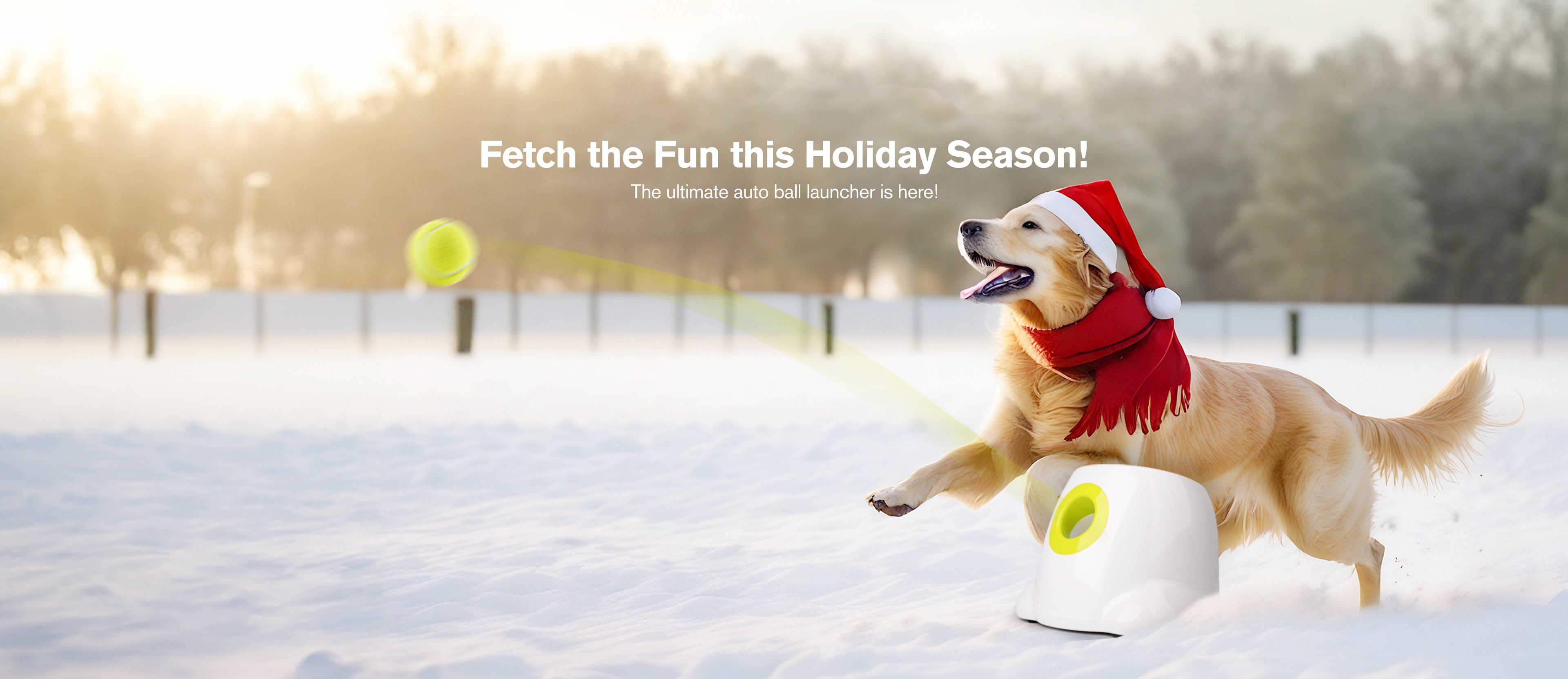 Auto Ball Launcher For Dogs Holiday Gift For Dogs