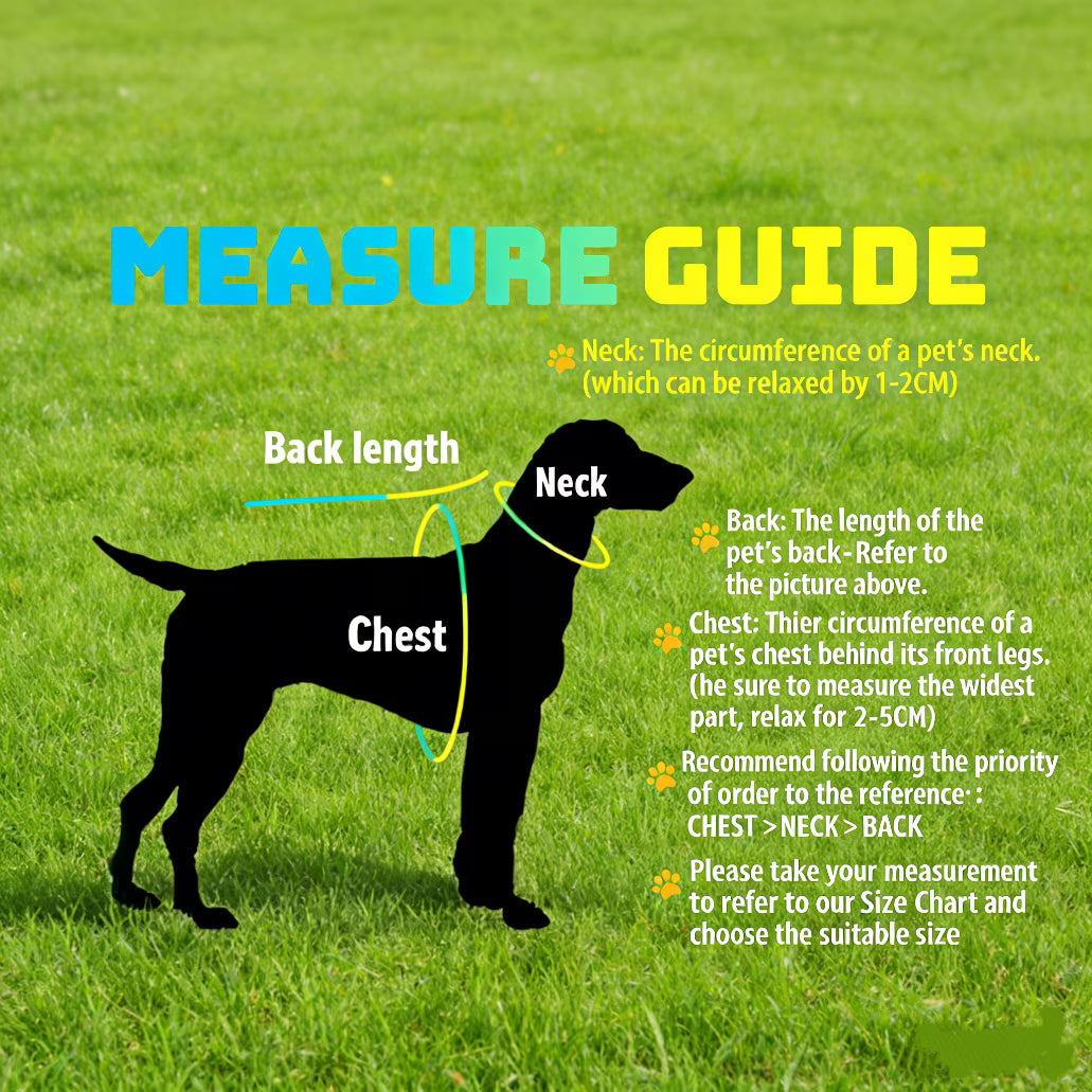 Official FIFA World Cup 2026 Edition - Dog Apparel,Blue,ARGENTINA