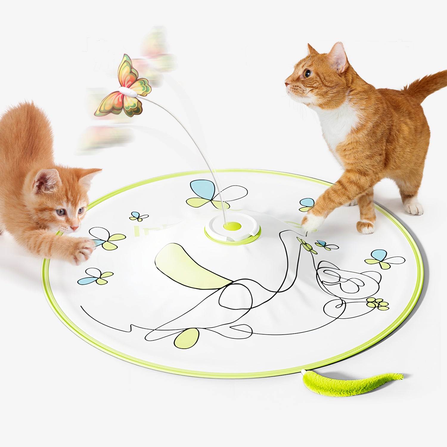 Interactive Flutter Bug Cat Toy with Motion-activated Hide-N-Seek – AFP ...