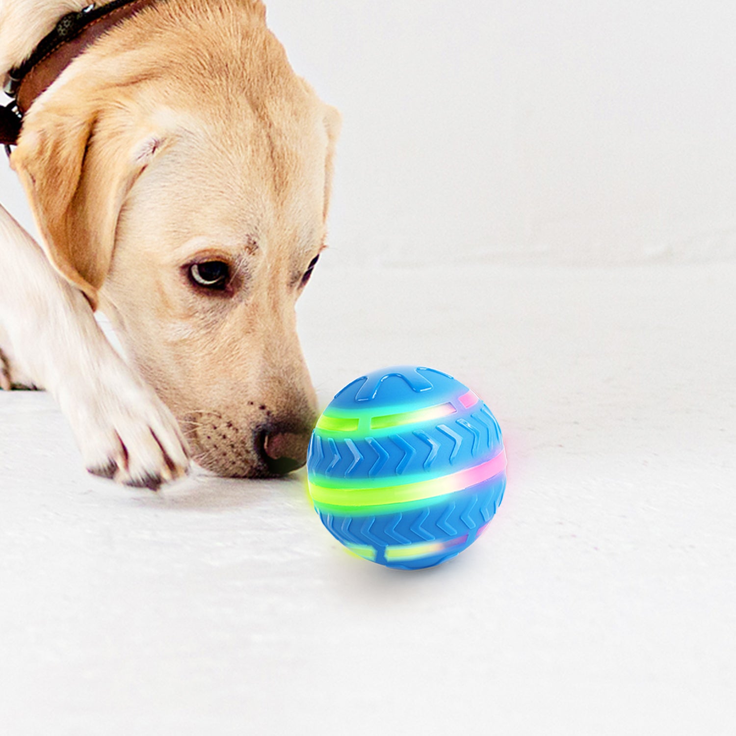 LED Rechargeable Lighting Ball for dogs