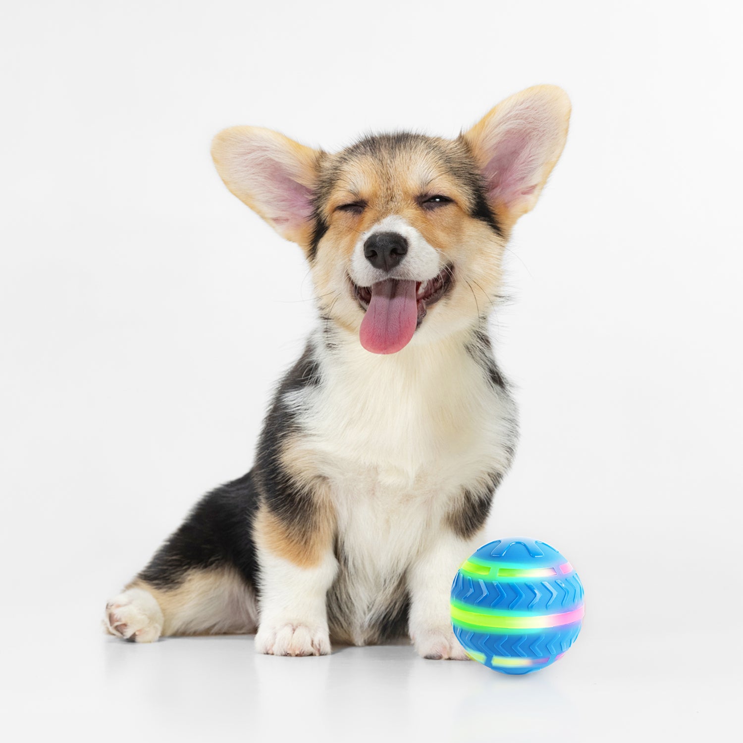 Motion-Activated LED Dog Ball