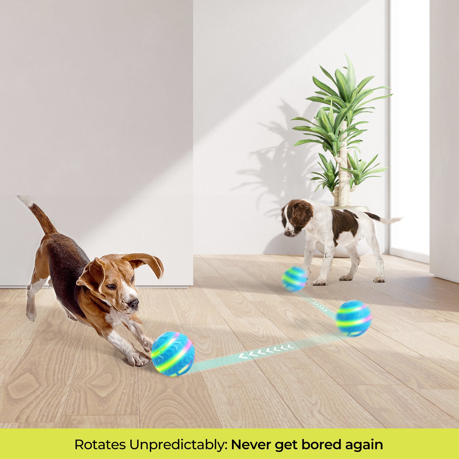 Motion-Activated LED Dog Ball