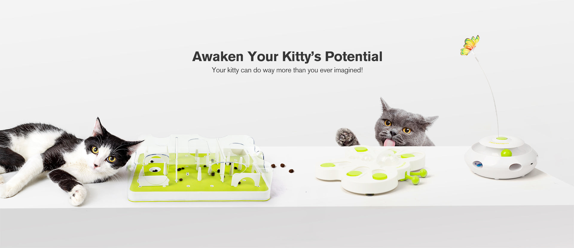 Pet Supplies Interactive Toy for Cat