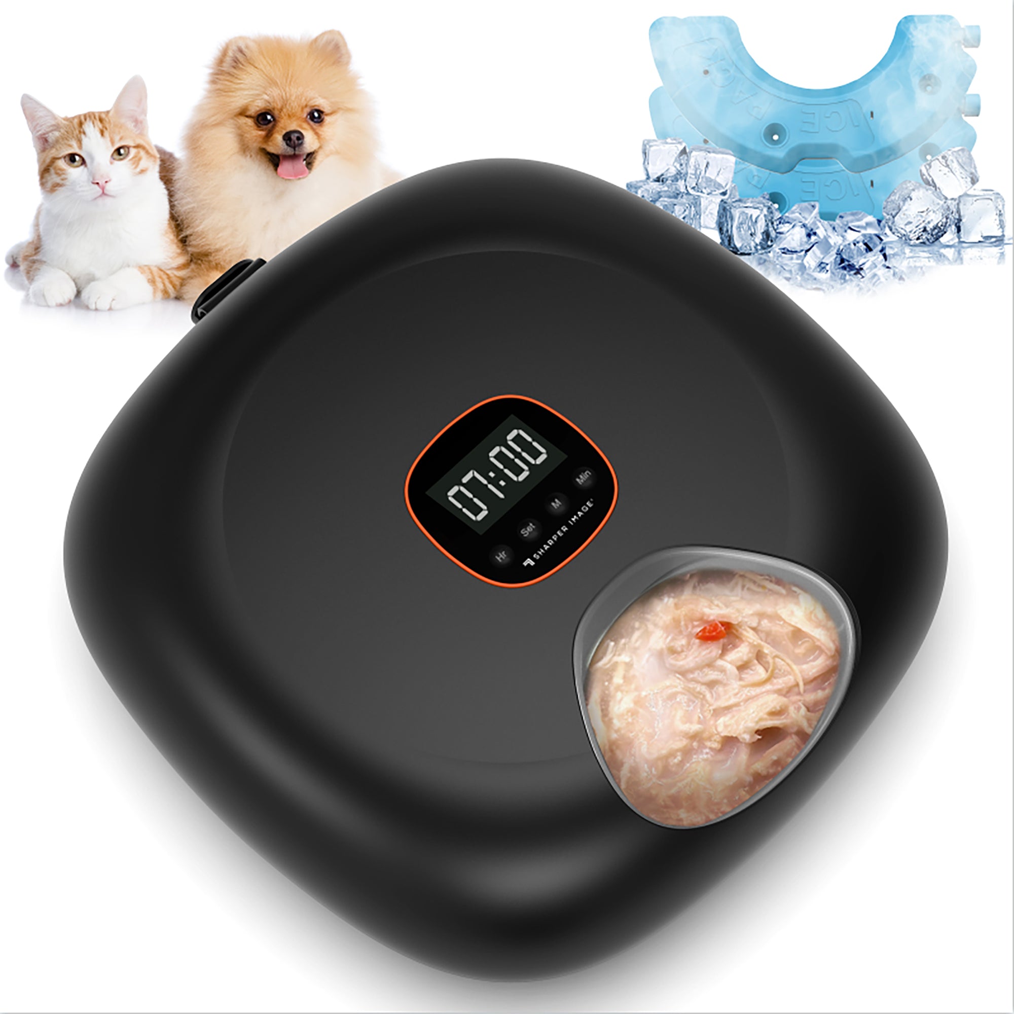 Black pet food warmer with digital timer, showing a bowl of food and two pets in the background.