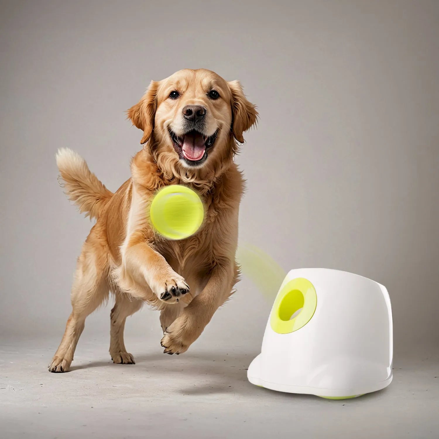 AFP-Allforpaws Maxi Hyper Fetch Automatic Ball Launcher For Large Dogs